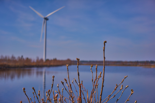 Sony 50mm f2.5_18w.jpg