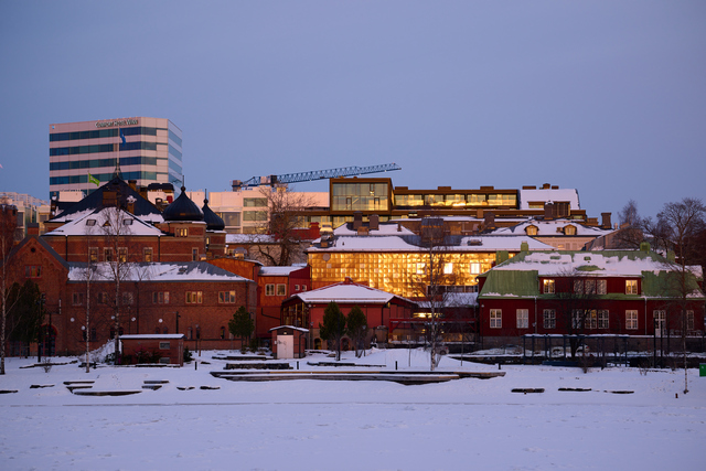 Nikon Z 100_400mm_4w.jpg