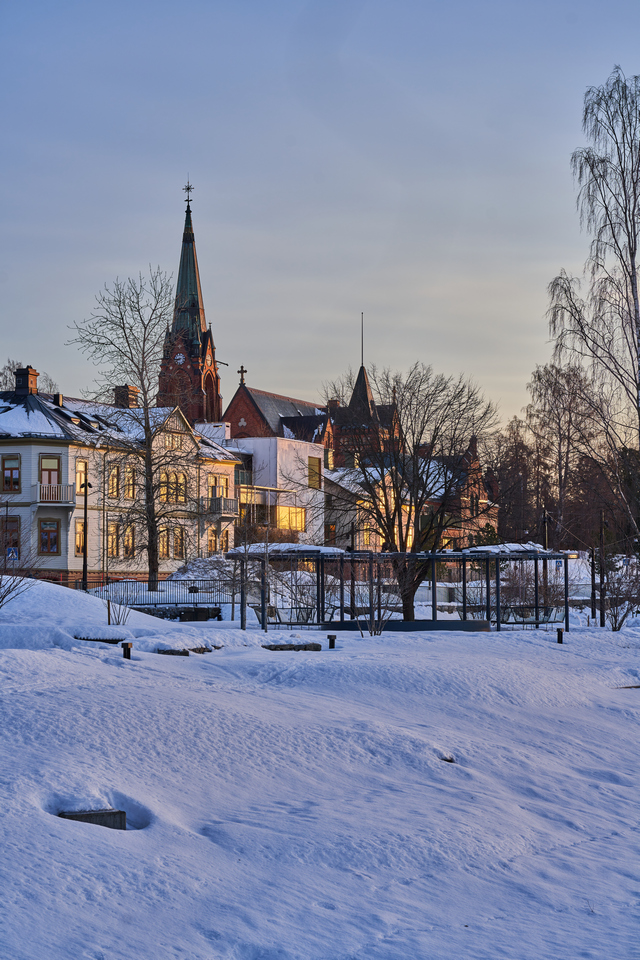 Samyang V-AF 75mm f1.8_9w.jpg