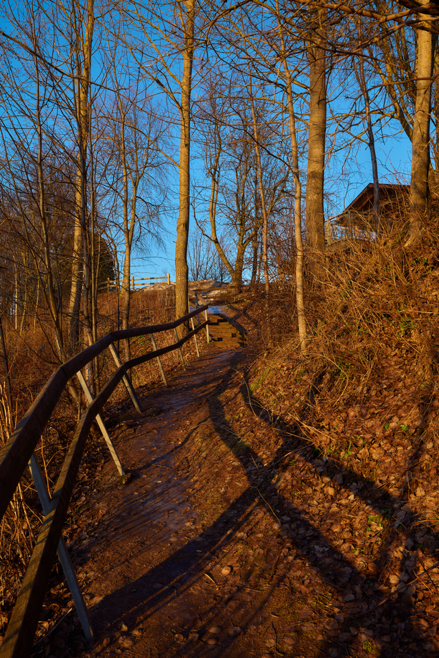 panasonic s pro 24_70 28_17w.jpg