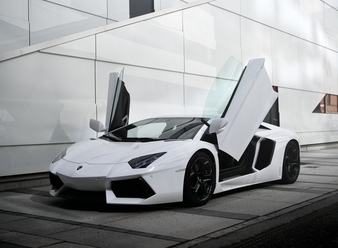 11AVENTADOR.jpg