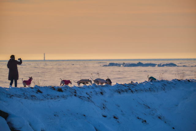 Fujifilm XF 70_300_14w.jpg