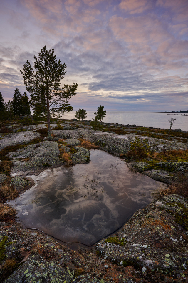 Nikon Z 17-28 f2.8_8w.jpg