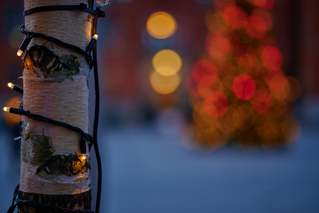 Nikon Z 85 1.8_16w.jpg