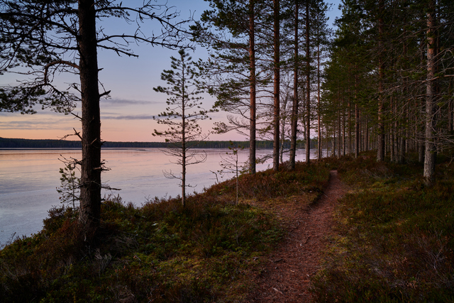 Nikon Z24_1.8S_13w.jpg