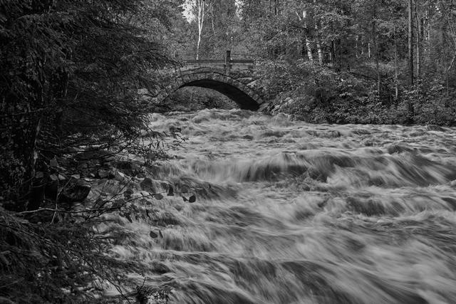 Nikon Z 24-50_7w.jpg