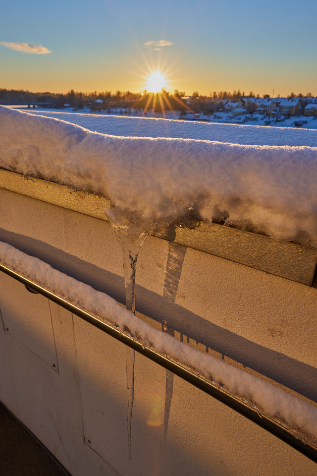 Canon RF 24mm f1.8_11w.jpg