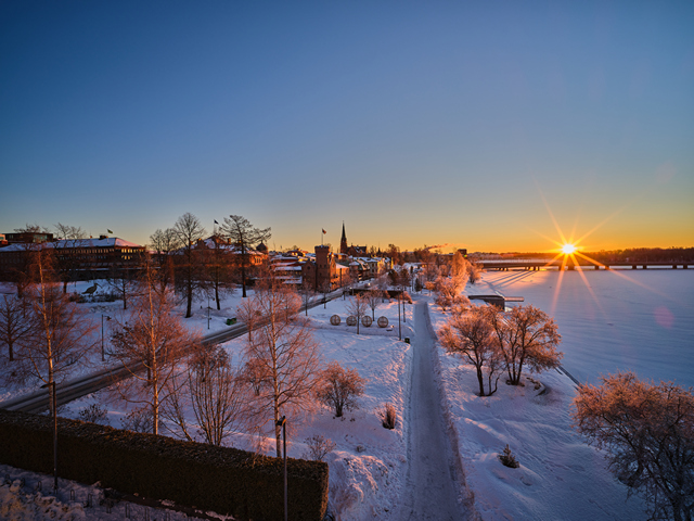 Laowa 19mm f2.8_18w.jpg