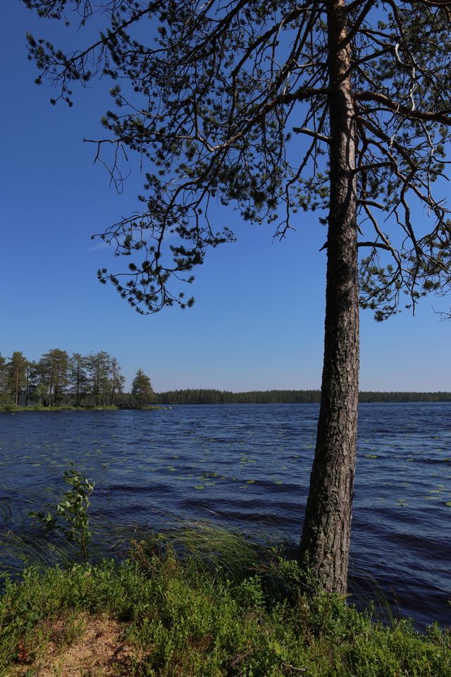 Canon EOS R7_19w.jpg