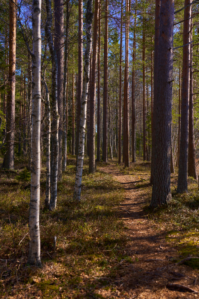 Sony FE 35 f1.4 GM_3w.jpg