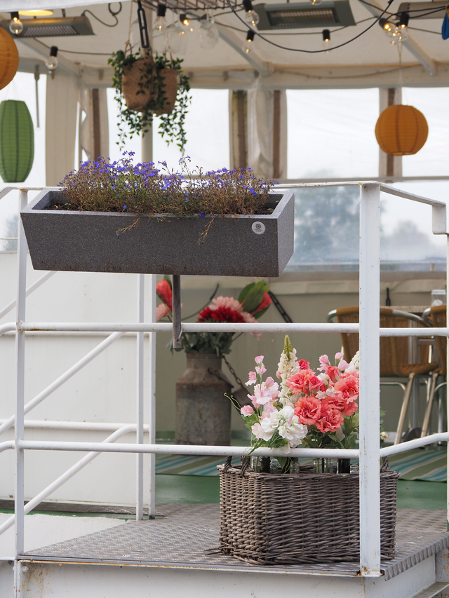 Olympus E-M10 IV_12w.jpg