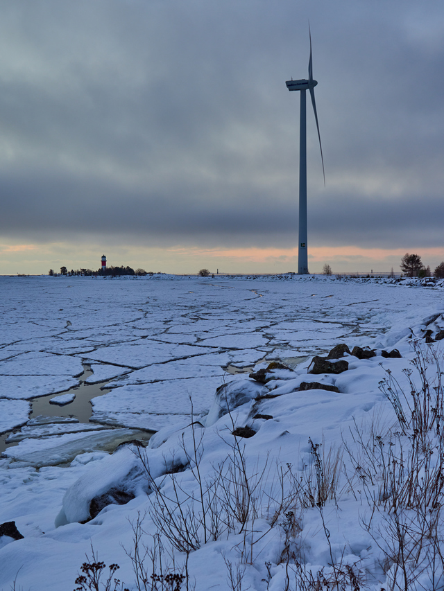 OM System 20mm f1.4_2w.jpg