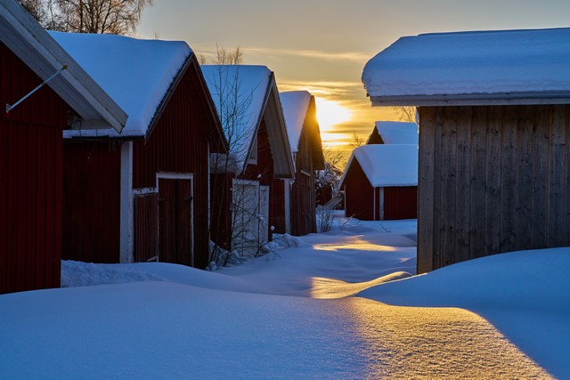 Sony FE 20-70mm f4_25w.jpg