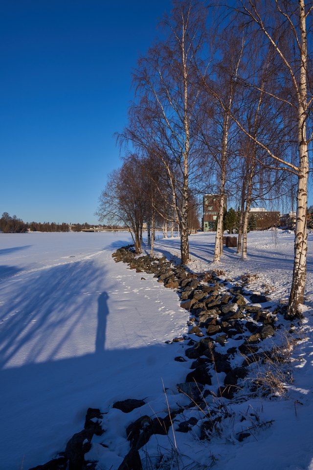 Sony PZ 16-35mm f4 G_13w.jpg