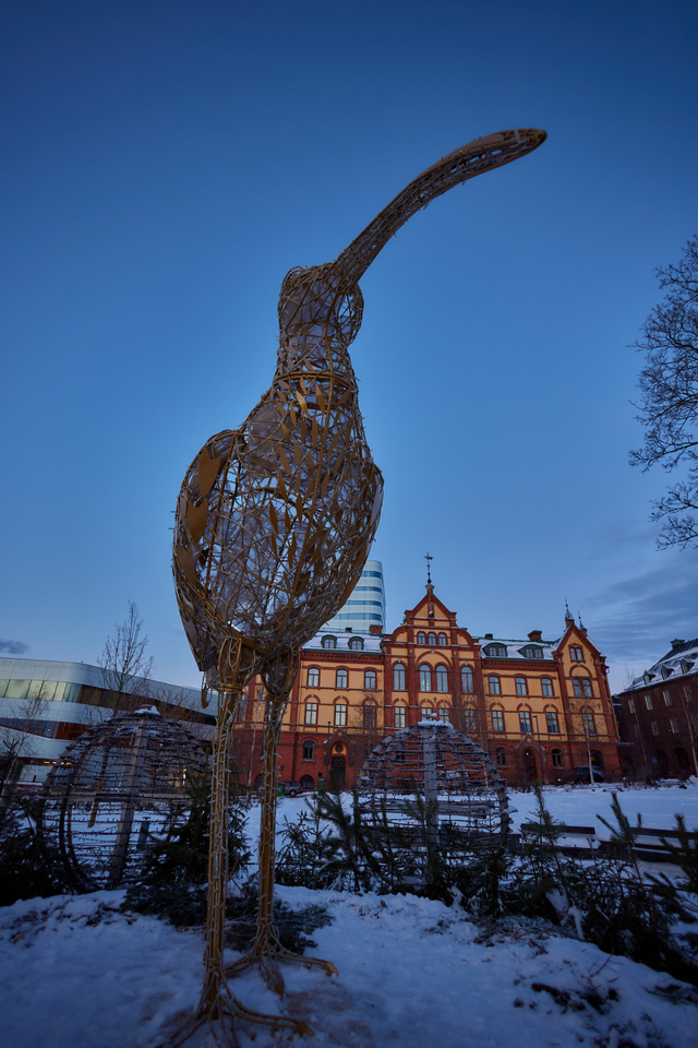 Canon RF 16mm f2.8_15w.jpg