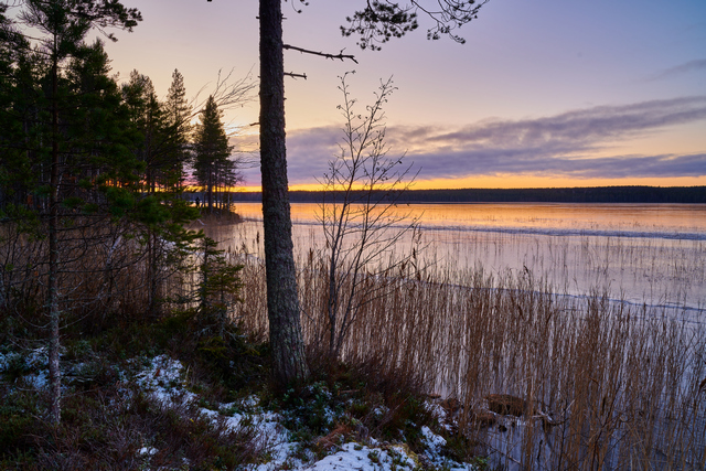 Nikon Z24_1.8S_12w.jpg