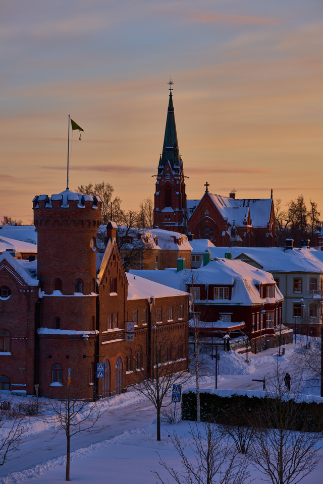 Sigma 105mm macro Sony_12w.jpg