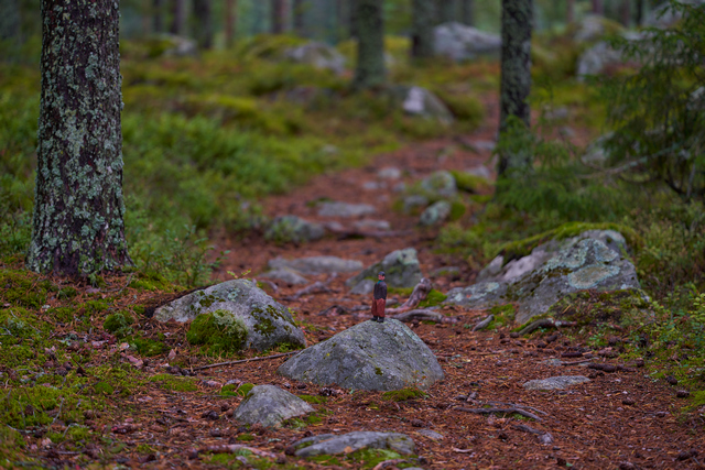 Voigtländer Macro 110mm_10w.jpg