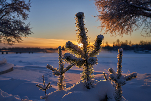 Tamron 20-40mm_19w.jpg