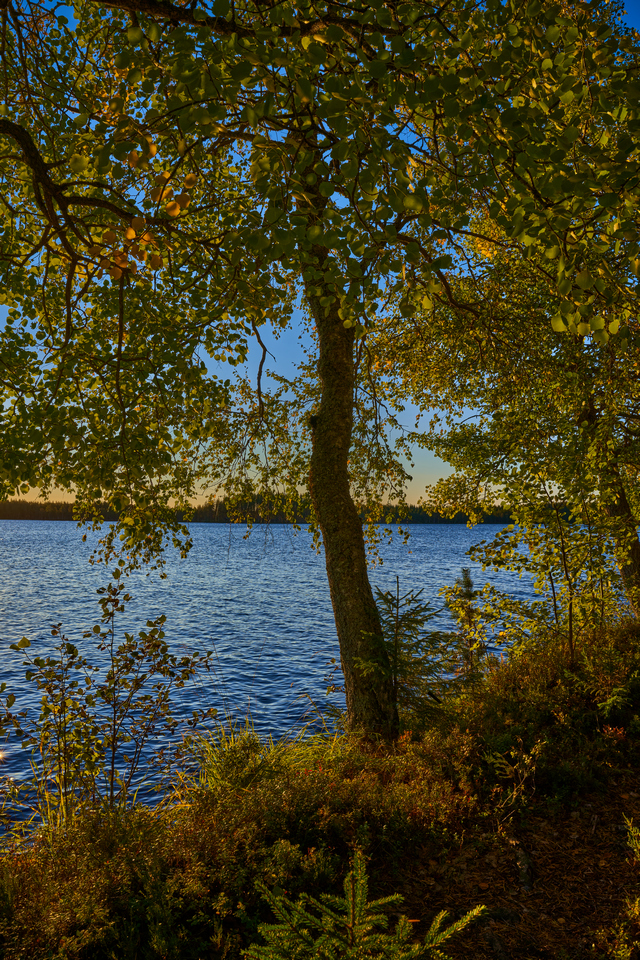 Sigma 24mm f2 DN_33w.jpg