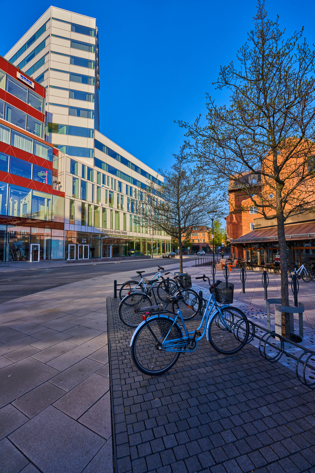 Sony 14mm f1.8_24w.jpg