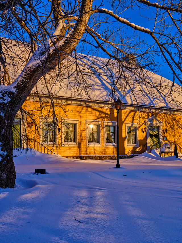 Fujifilm GFX100s_1w.jpg