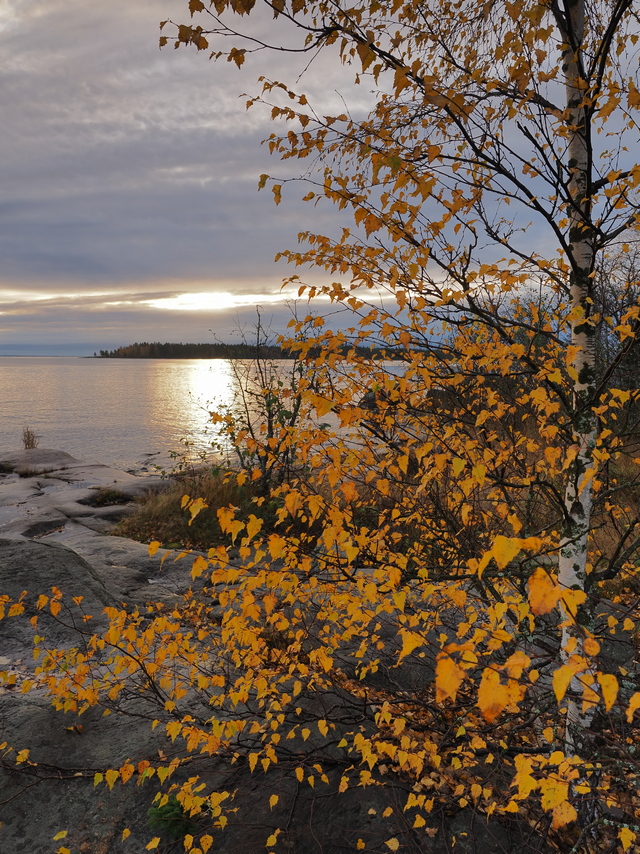 Om System OM5_12w.jpg