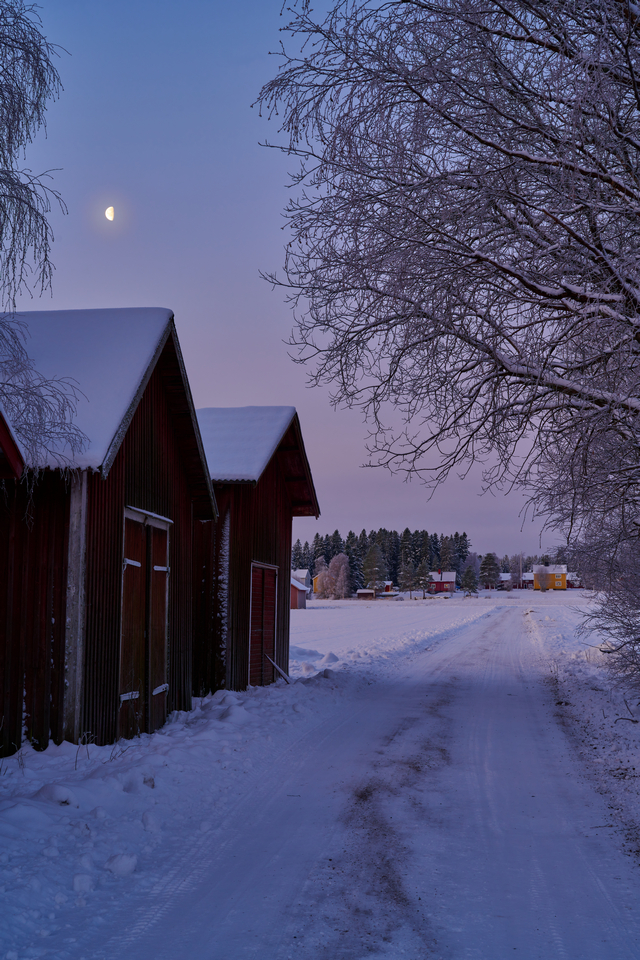 Nikon Z 50 f1.2_19w.jpg