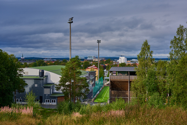 Nikon Z 50mm macro_19w.jpg