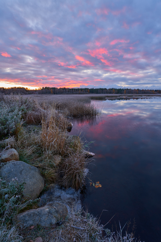 sigma_14 24 2.8_sony_12bw.jpg