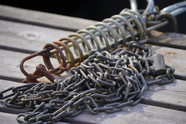 sony_fe_200 600mm_35w.jpg