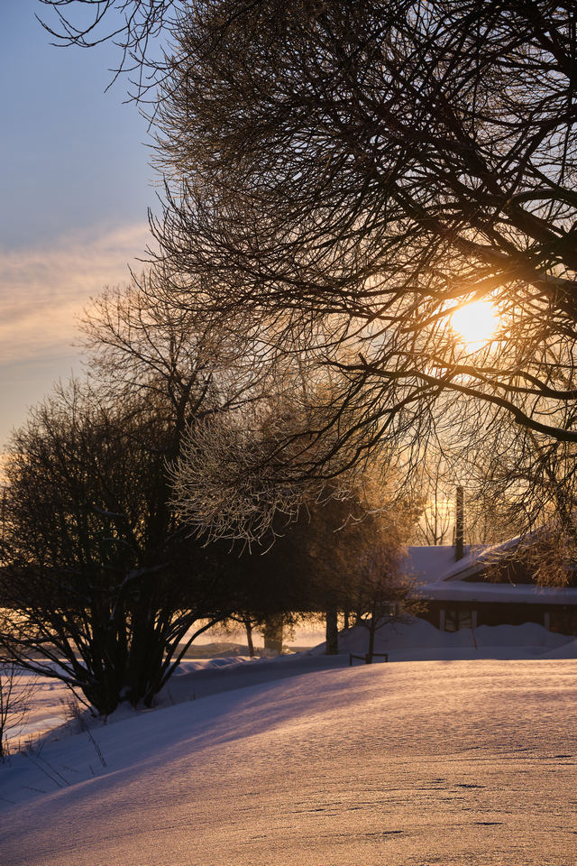 Fujifilm XF 70_300_4w.jpg