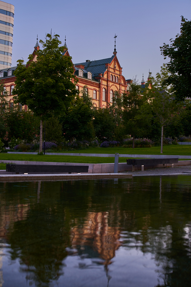 Laowa 33mm Argus_6w.jpg