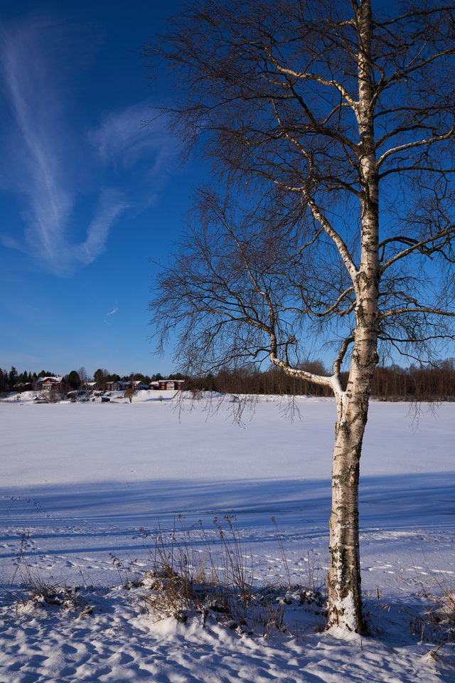 Sony PZ 16-35mm f4 G_15w.jpg