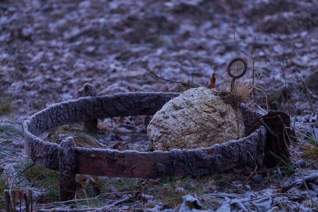 Sony FE 70-200 f2,8 II_31w.jpg