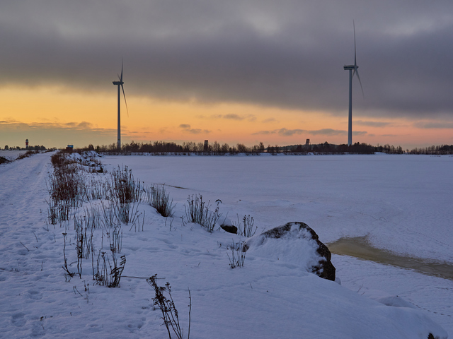 OM System 20mm f1.4_18w.jpg