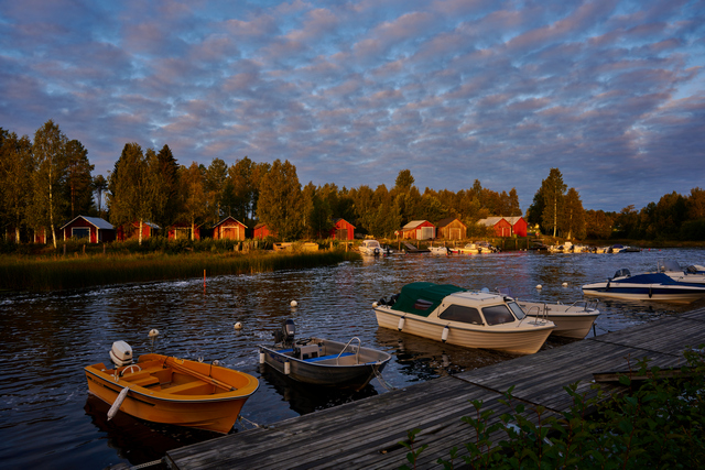 Nikon Z 24-50_17w.jpg