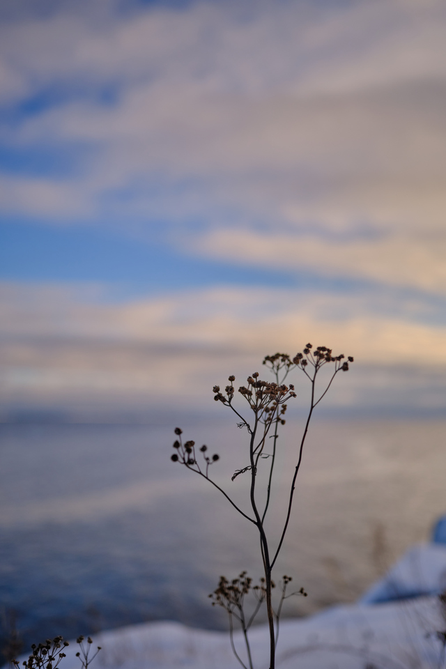 Fujifilm XF 23mm f1,4_4w.jpg