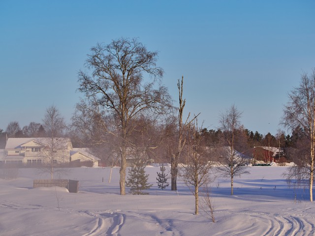 OM System 90mm macro_1w.jpg