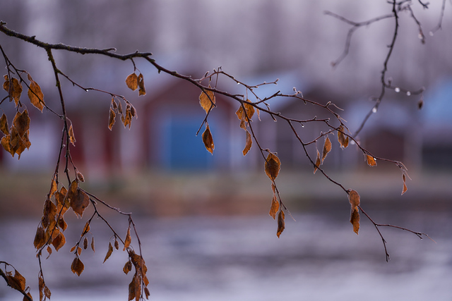 Tamron 35-150mm Sony_14w.jpg