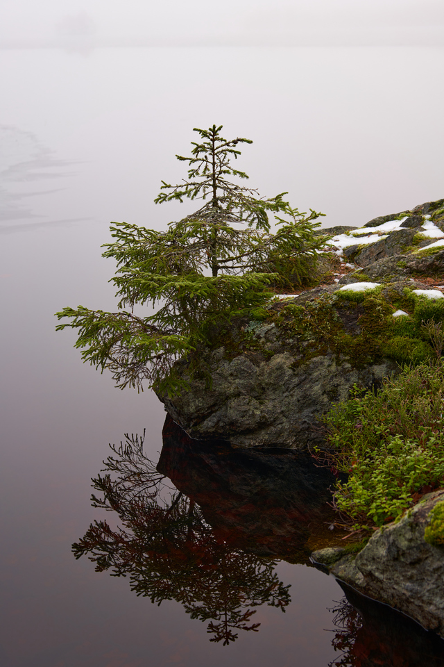 Samyang 50mm f1.4 II_3w.jpg