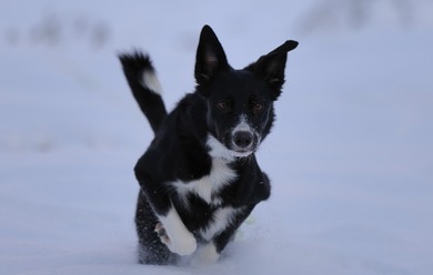 Canon EOS R3_blogg1.jpg