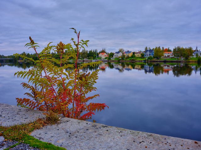 Fujifilm GF 35 70mm_13ww.jpg