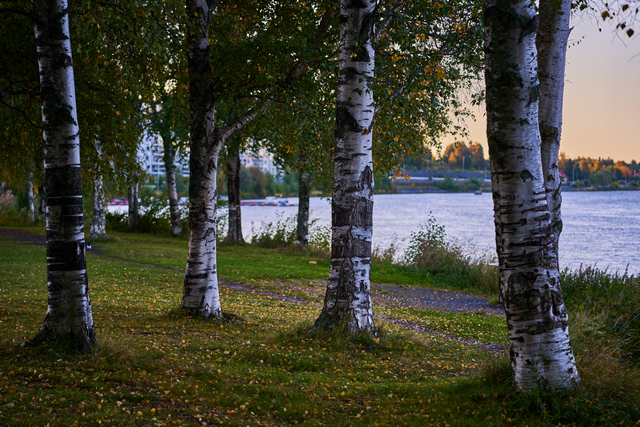 Sigma 90mm f2.8 DN_5w.jpg