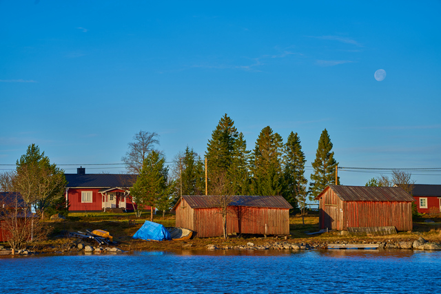 Tamron 70 300 Sony_16w.jpg