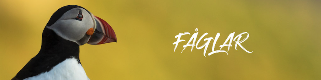 Skärmavbild 2021-10-15 kl. 12.10.23.png