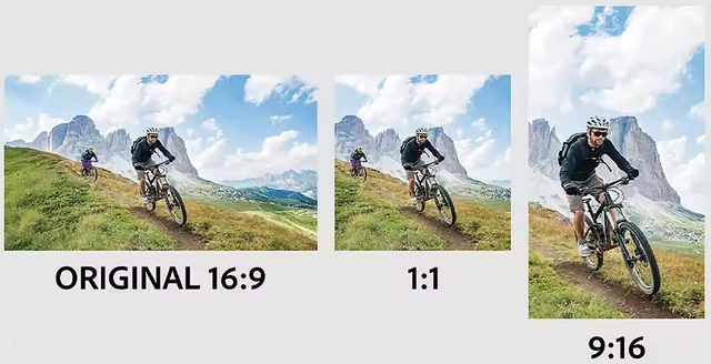 autocentrera motivet.jpg