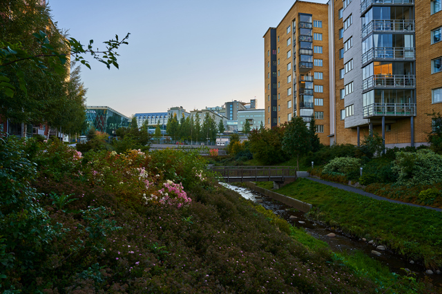 Sigma 24mm f2 DN_7w.jpg