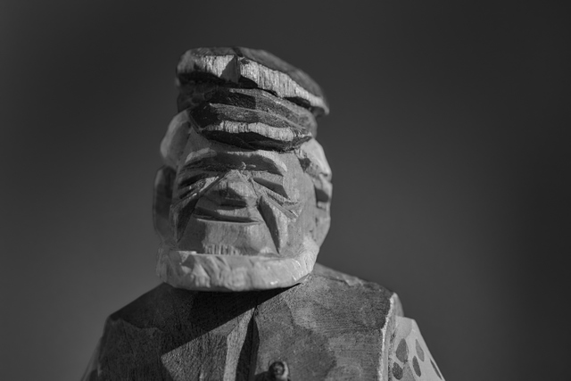 Canon RF 100-500_20w.jpg