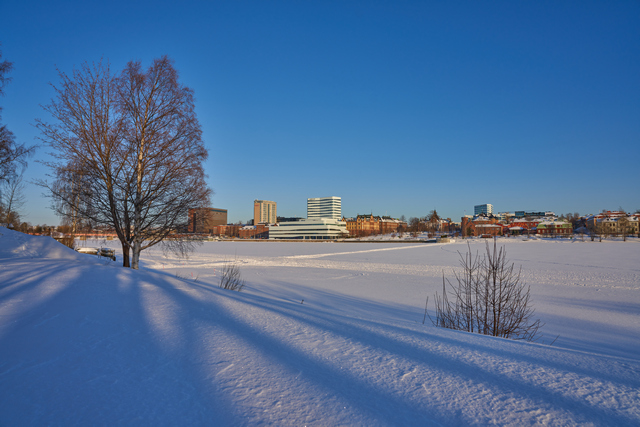 Sigma 20mm f2 DN_13w.jpg